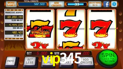 VIP Casino vip345